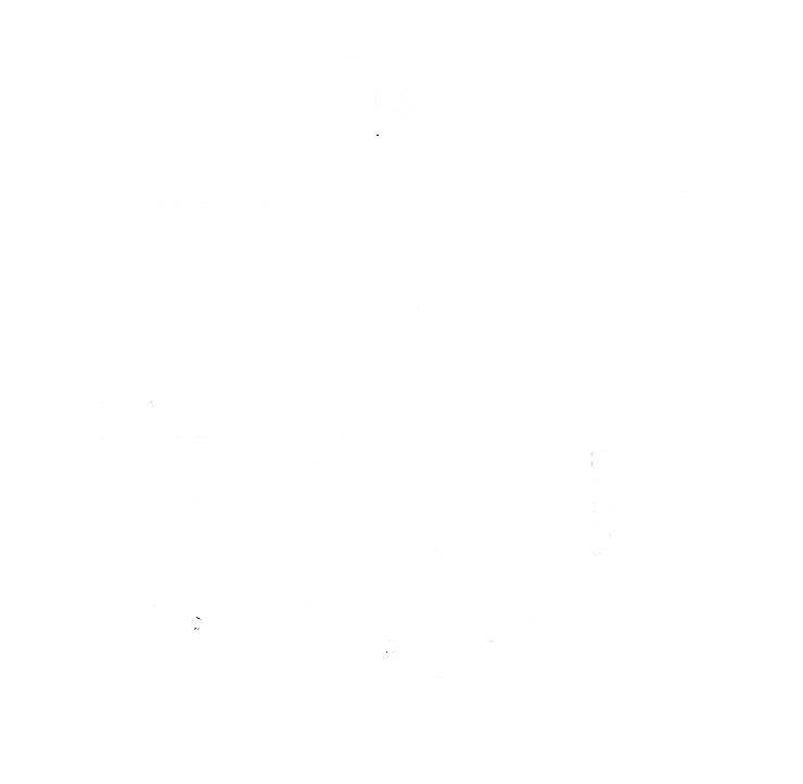 Veteran of the War on Drugs logo
